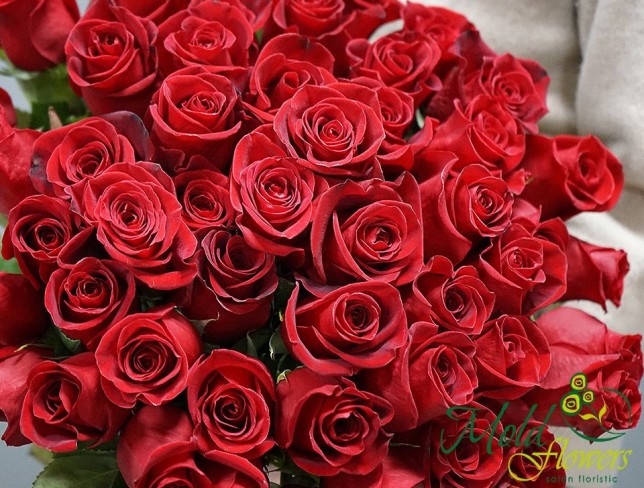 Роза красная Freedom 50-60 см Фото